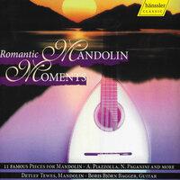 Mandolin Concerto in G major, Op. 163 (Arr. for Mandolin & Guitar)