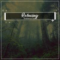 #19 Relaxing Ambience Tracks for Inner Peace
