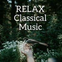 Relax Classical Music