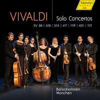 Cello Concerto in G Minor, RV 417: II. Andante