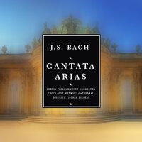 Bach: Cantata Arias