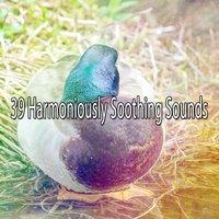 39 Harmoniously Soothing Sounds