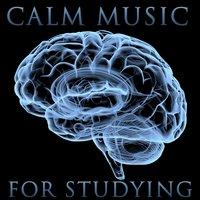 Peaceful Studying Music