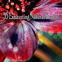 55 Exhausting Natural Sounds