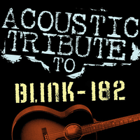 Acoustic Tribute to Blink-182