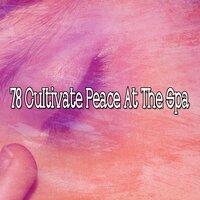 78 Cultivate Peace at the Spa