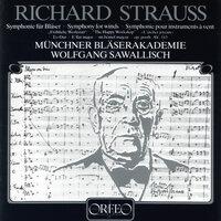 R. Strauss: Sonatina No. 2, TrV 291 "Fröhliche Werkstatt"