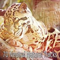 70 Neutral Natural Tracks
