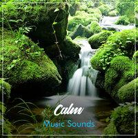 #20 Calm Music Sounds for Soothing Meditation