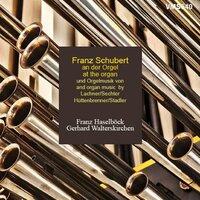 Franz Schubert at the Organ