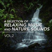 A Selection of Relaxing Music and Nature Sounds, Vol. 2