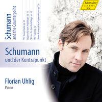 Schumann: Complete Piano Works, Vol. 7 – Schumann and the Counterpoint
