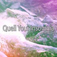 Quell Your Insomnia