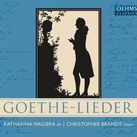 Goethe-Lieder (Arr. C. Brandt for Voice & Guitar)