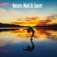 Natures Mind At Sunset