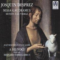 J. Desprez: Missa Gaudeamus & Motets à la Vierge - Desprez Recordings, Vol. 4