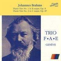 Trio Fae, Johannes Brahms