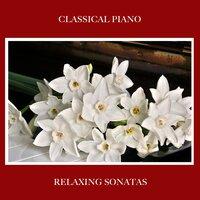 14 Relaxing Classical Piano Sonatas