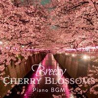 Breezy Cherry Blossoms ~Piano Bgm~