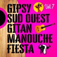 Gipsys, sud-ouest, gitans et manouches fiesta, Vol. 7