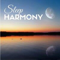 Sleep Harmony - Sleepy Instrumental Songs to Help You Relax and Fall Asleep Faster, Soothing Bedtime Music for Adults