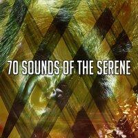 70 Sounds of the Serene