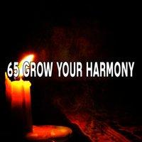 65 Grow Your Harmony