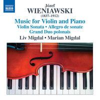 Józef & Henryk Wieniawski: Music for Violin & Piano