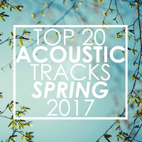 Top 20 Acoustic Tracks Spring 2017