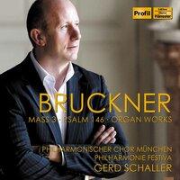 Bruckner: Sacred & Organ Works