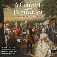 A Concert near Darmstadt