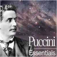 Puccini Essentials