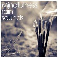 1 Hour Mindfulness Rain Sounds - White Noise Ambience for Relaxation and Meditation