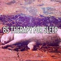 65 Therapy For Sleep