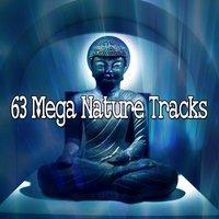 63 Mega Nature Tracks
