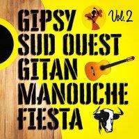 Gipsys, sud-ouest, gitans et manouches fiesta, Vol. 2