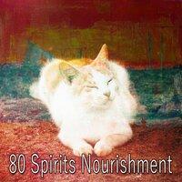 80 Spirits Nourishment