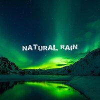15 Natural Rain Sounds Designed for Deep Sleep and Wellbeing