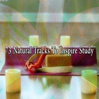 73 Natural Tracks To Inspire Study
