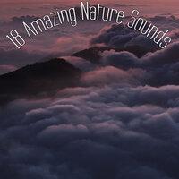 15 Zen Focus Nature Sounds & White Noise Rain
