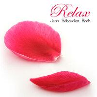 Relax: Jean Sébastien Bach et autres Airs de Musique Classique Anti Stress