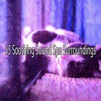 55 Soothing Sound Spa Surroundings