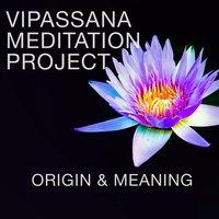 Vipassana Meditation Project
