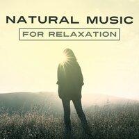 Natural Music for Relaxation – New Age, Sounds of Birds and Water, Peaceful Sounds of Nature, Deeper Relaxation