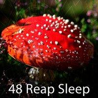 48 Reap Sleep