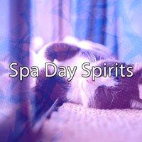 Spa Day Spirits