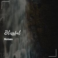 #19 Blissful Noises