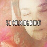 53 Calming Night