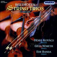 Beethoven: String Trios (Complete)