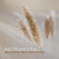 Instrumental Relaxing New Age Music: Sounds for Total Relax, Soothing Calmness 15 Songs, Reduce Stress, Serenity & Balance